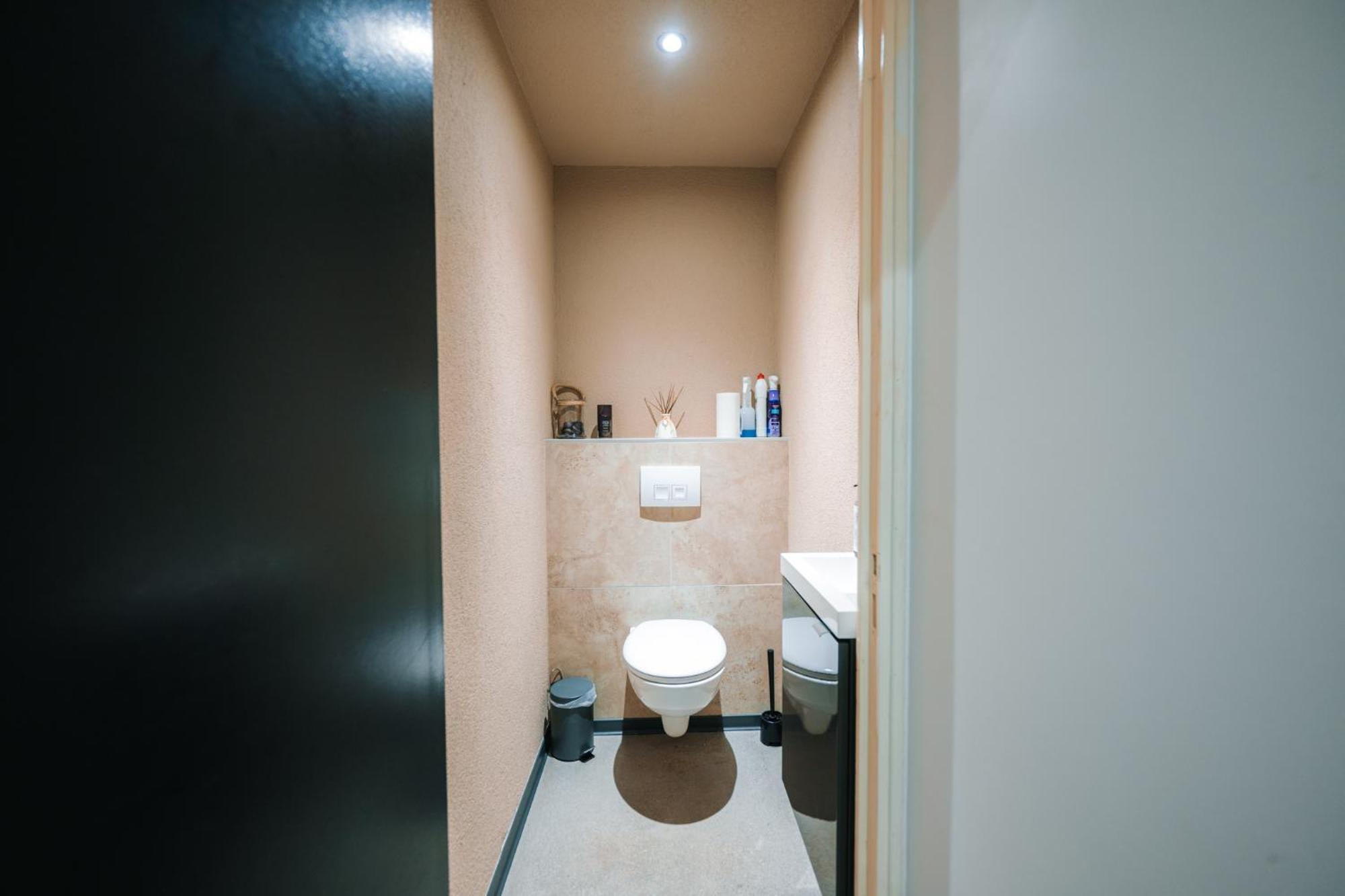 Grand Appartement Rez De Jardin Guebwiller Εξωτερικό φωτογραφία